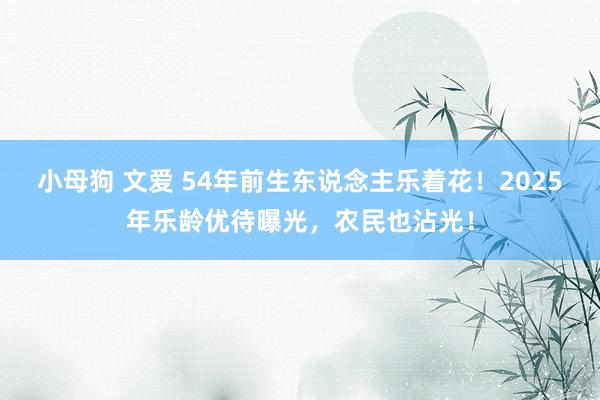 小母狗 文爱 54年前生东说念主乐着花！2025年乐龄优待曝光，农民也沾光！