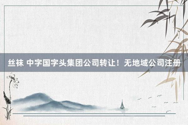 丝袜 中字国字头集团公司转让！无地域公司注册