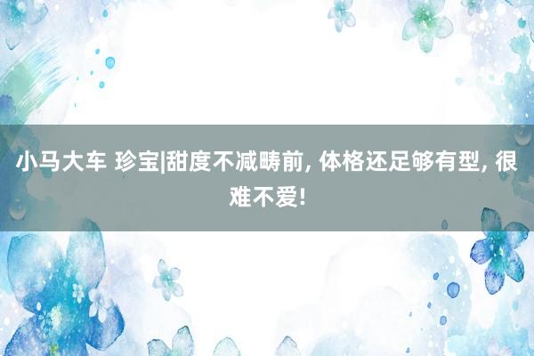 小马大车 珍宝|甜度不减畴前， 体格还足够有型， 很难不爱!