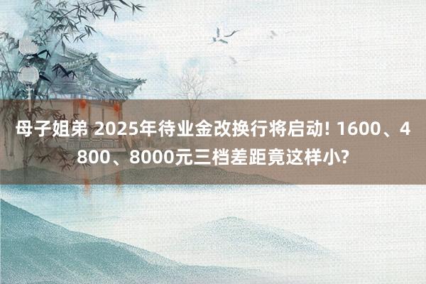 母子姐弟 2025年待业金改换行将启动! 1600、4800、8000元三档差距竟这样小?