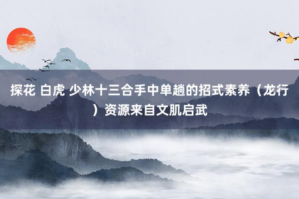 探花 白虎 少林十三合手中单趟的招式素养（龙行）资源来自文肌启武