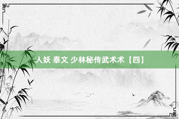 人妖 泰文 少林秘传武术术【四】