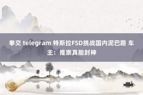 拳交 telegram 特斯拉FSD挑战国内泥巴路 车主：推崇真能封神