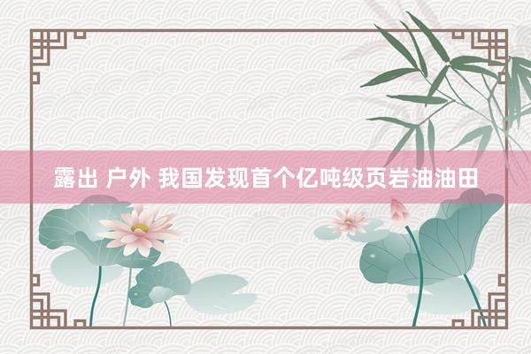 露出 户外 我国发现首个亿吨级页岩油油田